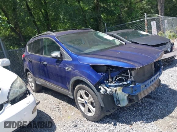 ✅ 2013 Ford Escape SE • VIN: 1FMCU0GX3DUB71422 • Lot: 42283894. Listed on IAAI with 99,536 mi. Free auction sales archive from the USA and detailed vehicle history report at DreamBid. Image 1.