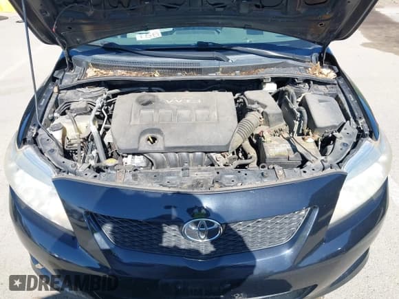 ✅ 2010 Toyota Corolla • VIN: 2T1BU4EE3AC366406 • Lot: 42321880. Listed on IAAI with 159,153 mi. Free auction sales archive from the USA and detailed vehicle history report at DreamBid. Image 10.