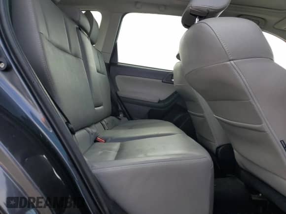 2017 Subaru Forester Limited with VIN JF2SJAJC2HH804951, listed as a Copart auction lot 81412985 with 221,177 mi miles and Salvage title. Bid and sale history available at DreamBid. Image 10.