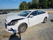 ✅ 2019 Hyundai Sonata SE • VIN: 5NPE24AF7KH743545 • Лот: 81095525. Опубликован ранее на Copart с пробегом 57 746 миль. Бесплатный доступ к архиву аукционных продаж из США и подробный отчёт об истории автомобиля на DreamBid. Изображение 1.