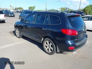 2007 Hyundai Santa Fe SE with VIN 5NMSH13E57H096846, listed as a IAAI auction lot 43253092 with 179,148 mi miles and . Bid and sale history available at DreamBid. Image 3.