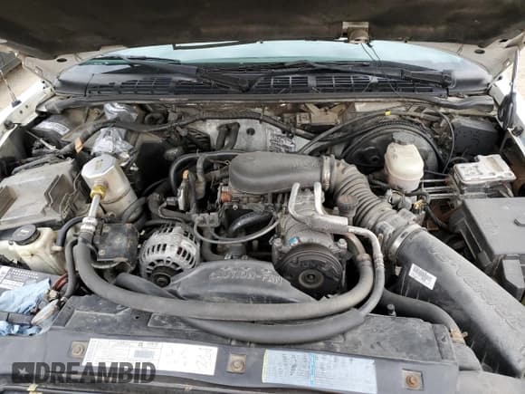 ✅ 2002 Chevrolet Blazer LS • VIN: 1GNDT13W52K169699 • Lot: 45846975. Wystawiony na Copart z przebiegiem 292 270 mil. Bezpłatny archiwum sprzedaży aukcyjnych z USA i szczegółowy raport historii pojazdu na DreamBid. Zdjęcie 12.