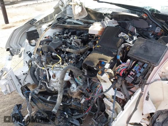 ✅ 2024 Nissan Pathfinder SL • VIN: 5N1DR3CD0RC241782 • Лот: 42887417. Опубликован ранее на IAAI с пробегом Не указан. Бесплатный доступ к архиву аукционных продаж из США и подробный отчёт об истории автомобиля на DreamBid. Изображение 10.