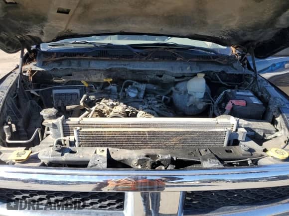 2009 Dodge 1500 SLT с VIN 1D3HB18P89S789883, выставлен на аукционе Copart как лот 83484054 с пробегом Не указан миль и Чистый • Clean title. История ставок и продаж доступна на DreamBid. Изображение 11.