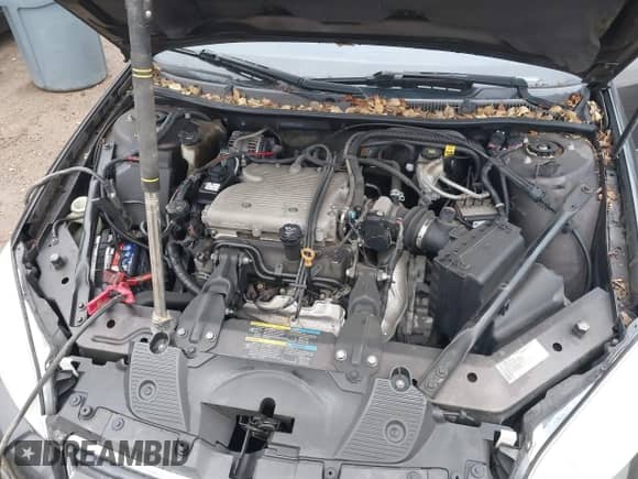 ✅ 2009 Chevrolet Impala LT • VIN: 2G1WT57N391135564 • Lot: 43581102. Listed on IAAI with 94,697 mi. Free auction sales archive from the USA and detailed vehicle history report at DreamBid. Image 10.