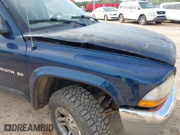 ✅ 2002 Dodge Dakota SLT • VIN: 1B7HG48N82S678086 • Lot: 42189540. Wystawiony na IAAI z przebiegiem Nie podano. Bezpłatny archiwum sprzedaży aukcyjnych z USA i szczegółowy raport historii pojazdu na DreamBid. Zdjęcie 12.