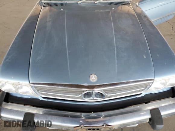 ✅ 1974 Mercedes-Benz SLC • VIN: 10702412004843 • Lot: 87235934. Listed on Copart with 99,088 mi. Free auction sales archive from the USA and detailed vehicle history report at DreamBid. Image 11.