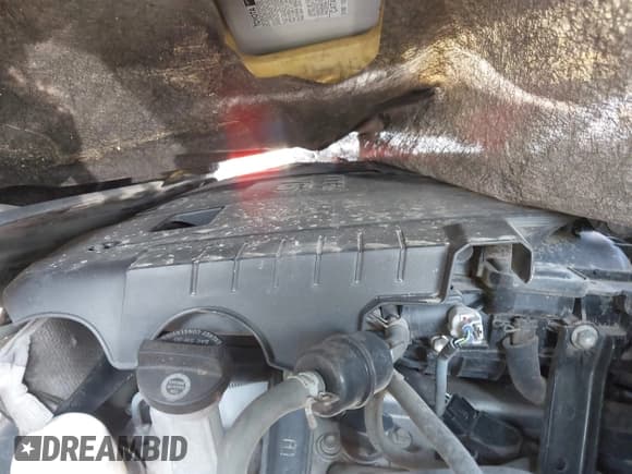 ✅ 2008 Toyota 4Runner SR5 • VIN: JTEBU14R38K011842 • Lot: 42434205. Listed on IAAI with 210,758 mi. Free auction sales archive from the USA and detailed vehicle history report at DreamBid. Image 10.