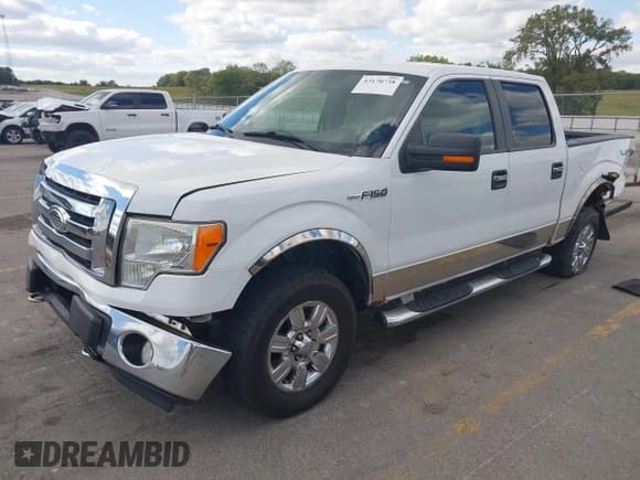 ✅ 2009 Ford F-150 XL • VIN: 1FTPW14V09FA25063 • Lot: 43170738. Listed on IAAI with 206,943 mi. Free auction sales archive from the USA and detailed vehicle history report at DreamBid. Image 2.