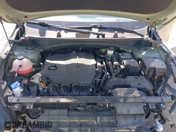 ✅ 2024 Kia Sportage X-Line • VIN: 5XYK6CDF4RG146349 • Lot: 42373901. Wystawiony na IAAI z przebiegiem 20 205 mil. Bezpłatny archiwum sprzedaży aukcyjnych z USA i szczegółowy raport historii pojazdu na DreamBid. Zdjęcie 10.