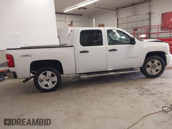 ✅ 2010 Chevrolet Silverado 1500 Work Truck • VIN: 3GCRKPE32AG111157 • Lot: 41078646. Listed on IAAI with 224,216 mi. Free auction sales archive from the USA and detailed vehicle history report at DreamBid. Image 4.