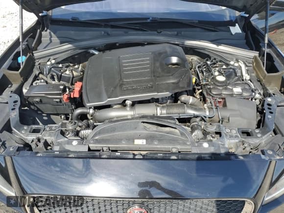 ✅ 2019 Jaguar F-Pace 25t Premium • VIN: SADCJ2FX8KA393323 • Lot: 87073675. Listed on Copart with 140,310 mi. Free auction sales archive from the USA and detailed vehicle history report at DreamBid. Image 11.