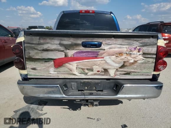 ✅ 2008 Dodge 1500 SLT • VIN: 1D7HA182X8J181504 • Лот: 74114594. Опубликован ранее на Copart с пробегом Не указан. Бесплатный доступ к архиву аукционных продаж из США и подробный отчёт об истории автомобиля на DreamBid. Изображение 6.