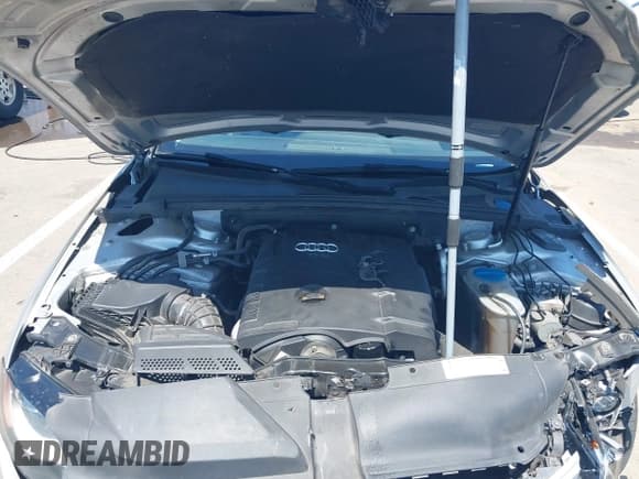 ✅ 2010 Audi A4 Premium Plus • VIN: WAUFFAFL7AN053974 • Lot: 42360209. Listed on IAAI with 155,402 mi. Free auction sales archive from the USA and detailed vehicle history report at DreamBid. Image 10.