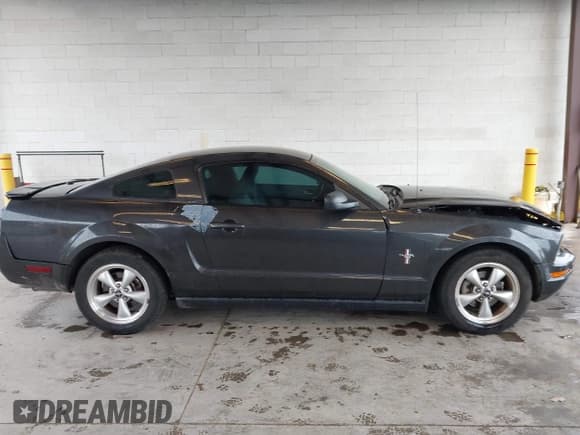 ✅ 2007 Ford Mustang Deluxe • VIN: 1ZVHT80NX75349309 • Lot: 43716028. Listed on IAAI with 148,642 mi. Free auction sales archive from the USA and detailed vehicle history report at DreamBid. Image 13.