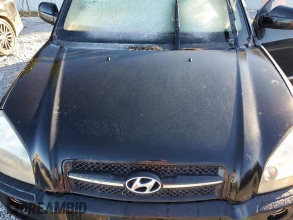 2006 Hyundai Tucson GLS z VIN KM8JN12D36U291618, wystawiony jako Copart lot #76259744 z przebiegiem Nie podano mil oraz Czysty tytuł • Clean title. Historia ofert i sprzedaży dostępna na DreamBid. Obrazek 12.