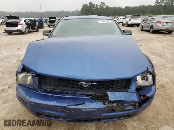 ✅ 2006 Ford Mustang Standard • VIN: 1ZVFT80N965166103 • Lot: 85680985. Wystawiony na Copart z przebiegiem 100 018 mil. Bezpłatny archiwum sprzedaży aukcyjnych z USA i szczegółowy raport historii pojazdu na DreamBid. Zdjęcie 5.
