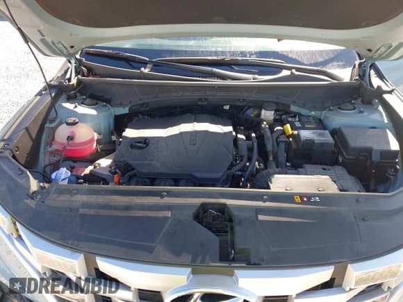 ✅ 2023 Hyundai Santa Cruz SEL • VIN: 5NTJCDAE7PH058098 • Лот: 43359560. Опубликован ранее на IAAI с пробегом 31 877 миль. Бесплатный доступ к архиву аукционных продаж из США и подробный отчёт об истории автомобиля на DreamBid. Изображение 10.