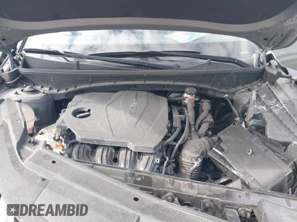 2022 Hyundai Santa Cruz SEL с VIN 5NTJC4AE5NH023492, выставлен на аукционе IAAI как лот 41343155 с пробегом 12 670 миль миль и . История ставок и продаж доступна на DreamBid. Изображение 10.