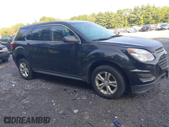 ✅ 2016 Chevrolet Equinox LS • VIN: 2GNFLEEK8G6326646 • Lot: 42827804. Listed on IAAI with 181,674 mi. Free auction sales archive from the USA and detailed vehicle history report at DreamBid. Image 13.