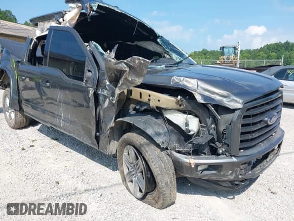 ✅ 2016 Ford F-150 XLT • VIN: 1FTEW1EF0GKF09351 • Lot: 42802916. Wystawiony na IAAI z przebiegiem Nie podano. Bezpłatny archiwum sprzedaży aukcyjnych z USA i szczegółowy raport historii pojazdu na DreamBid. Zdjęcie 6.