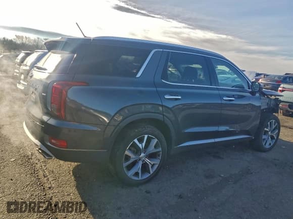 ✅ 2020 Hyundai Palisade SEL • VIN: KM8R3DHE6LU041019 • Лот: 94214195. Опубликован ранее на Copart с пробегом 31 341 миль. Бесплатный доступ к архиву аукционных продаж из США и подробный отчёт об истории автомобиля на DreamBid. Изображение 3.