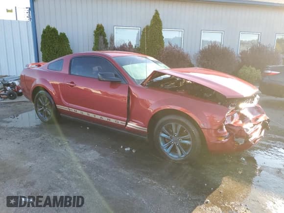 ✅ 2006 Ford Mustang Standard • VIN: 1ZVFT80N065265974 • Lot: 86673725. Wystawiony na Copart z przebiegiem 217 530 mil. Bezpłatny archiwum sprzedaży aukcyjnych z USA i szczegółowy raport historii pojazdu na DreamBid. Zdjęcie 4.