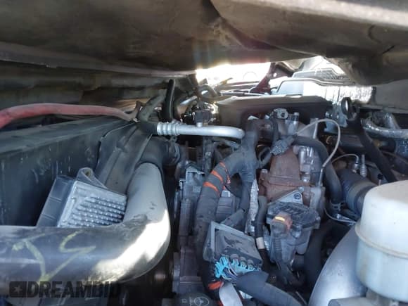 ✅ 2015 Chevrolet Silverado 2500HD LTZ • VIN: 1GC1KWE89FF117551 • Лот: 43428295. Опубликован ранее на IAAI с пробегом 327 618 миль. Бесплатный доступ к архиву аукционных продаж из США и подробный отчёт об истории автомобиля на DreamBid. Изображение 10.