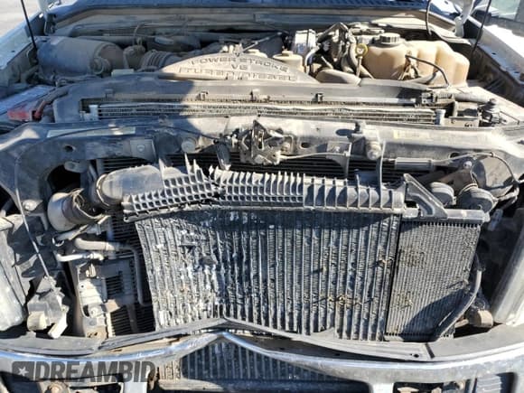 ✅ 2010 Ford F-250 XL • VIN: 1FTSW2BR1AEA73008 • Lot: 86674705. Wystawiony na Copart z przebiegiem 235 531 mil. Bezpłatny archiwum sprzedaży aukcyjnych z USA i szczegółowy raport historii pojazdu na DreamBid. Zdjęcie 11.