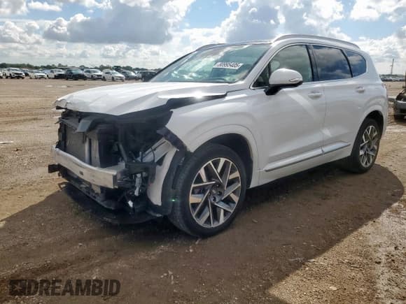 ✅ 2023 Hyundai Santa Fe Calligraphy • VIN: 5NMS54AL4PH492309 • Lot: 80995405. Listed on Copart with 12,231 mi. Free auction sales archive from the USA and detailed vehicle history report at DreamBid. Image 1.