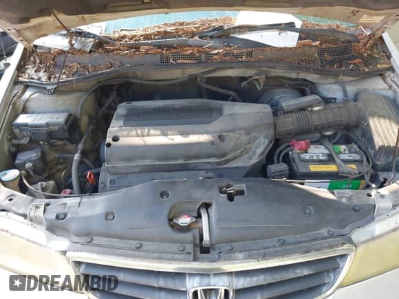 ✅ 2004 Honda Odyssey EX-RES • VIN: 5FNRL18814B128818 • Lot: 42844253. Listed on IAAI with 240,354 mi. Free auction sales archive from the USA and detailed vehicle history report at DreamBid. Image 10.