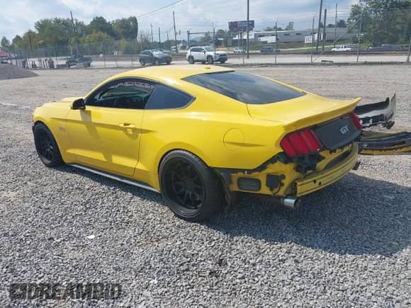 2015 Ford Mustang GT с VIN 1FA6P8CF4F5310108, выставлен на аукционе IAAI как лот 43285870 с пробегом 66 019 миль миль и . История ставок и продаж доступна на DreamBid. Изображение 3.