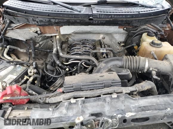 ✅ 2011 Ford F-150 Lariat • VIN: 1FTFW1EF2BFD38446 • Lot: 90442785. Wystawiony na Copart z przebiegiem 183 944 mil. Bezpłatny archiwum sprzedaży aukcyjnych z USA i szczegółowy raport historii pojazdu na DreamBid. Zdjęcie 11.