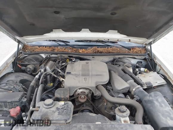 ✅ 2010 Mercury Grand Marquis LS • VIN: 2MEBM7FV4AX626242 • Лот: 43760475. Опубликован ранее на IAAI с пробегом 60 932 миль. Бесплатный доступ к архиву аукционных продаж из США и подробный отчёт об истории автомобиля на DreamBid. Изображение 10.