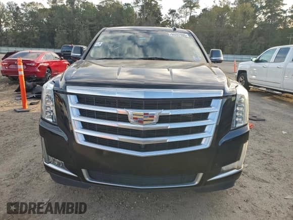 ✅ 2019 Cadillac Escalade Luxury • VIN: 1GYS4BKJ3KR189492 • Lot: 94297805. Listed on Copart with 257,144 mi. Free auction sales archive from the USA and detailed vehicle history report at DreamBid. Image 5.