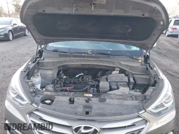 ✅ 2017 Hyundai Santa Fe 2.4L • VIN: 5XYZTDLB0HG396729 • Lot: 43859049. Listed on IAAI with 119,122 mi. Free auction sales archive from the USA and detailed vehicle history report at DreamBid. Image 10.