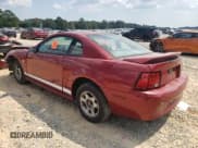 ✅ 1999 Ford Mustang • VIN: 1FAFP4044XF228368 • Лот: 81489405. Опубликован ранее на Copart с пробегом 248 142 миль. Бесплатный доступ к архиву аукционных продаж из США и подробный отчёт об истории автомобиля на DreamBid. Изображение 2.