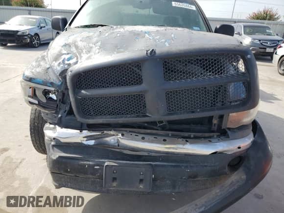 2002 Dodge 1500 с VIN 1D7HA18Z62S725902, выставлен на аукционе Copart как лот 65626884 с пробегом Не указан миль и Списание • Salvage title. История ставок и продаж доступна на DreamBid. Изображение 11.