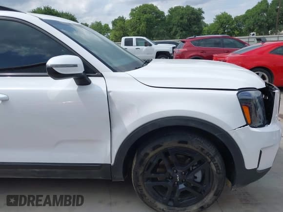 ✅ 2024 Kia Telluride EX X-Line • VIN: 5XYP3DGC4RG483058 • Lot: 42070627. Wystawiony na IAAI z przebiegiem 15 690 mil. Bezpłatny archiwum sprzedaży aukcyjnych z USA i szczegółowy raport historii pojazdu na DreamBid. Zdjęcie 20.