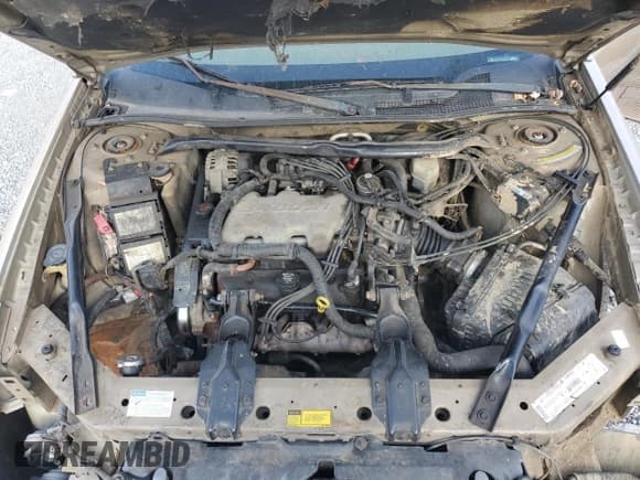 ✅ 2000 Chevrolet Impala • VIN: 2G1WF55E6Y9177236 • Lot: 70064415. Wystawiony na Copart z przebiegiem Nie podano. Bezpłatny archiwum sprzedaży aukcyjnych z USA i szczegółowy raport historii pojazdu na DreamBid. Zdjęcie 11.