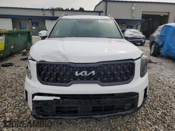 ✅ 2024 Kia Telluride SX • VIN: 5XYP5DGC6RG549023 • Lot: 81596325. Wystawiony na Copart z przebiegiem 8 059 mil. Bezpłatny archiwum sprzedaży aukcyjnych z USA i szczegółowy raport historii pojazdu na DreamBid. Zdjęcie 5.