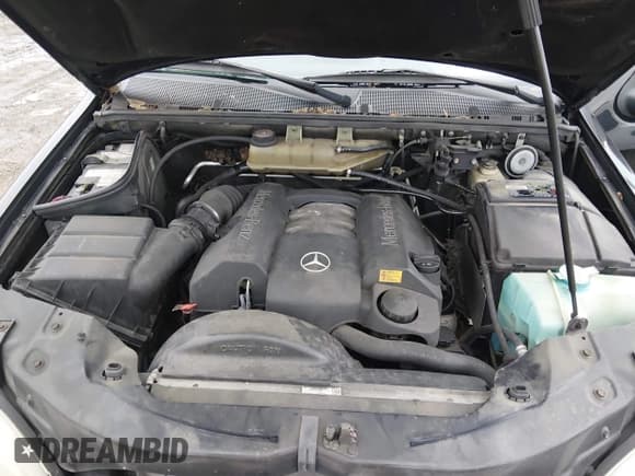 ✅ 1998 Mercedes-Benz M 320/430/500 • VIN: 4JGAB54EXWA012141 • Lot: 43884204. Listed on IAAI with 250,945 mi. Free auction sales archive from the USA and detailed vehicle history report at DreamBid. Image 10.