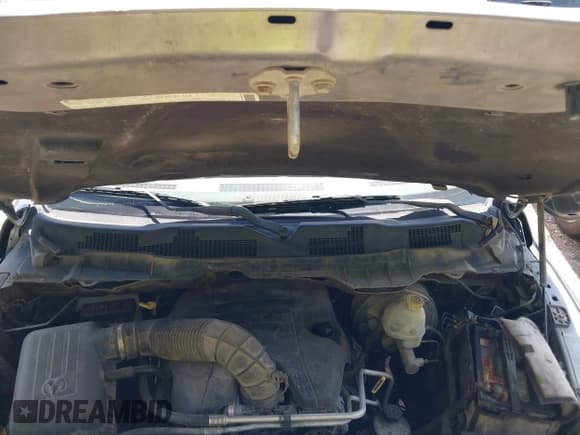 ✅ 2009 Dodge 1500 SLT • VIN: 1D3HB13T69S785965 • Lot: 42188507. Wystawiony na IAAI z przebiegiem 225 314 mil. Bezpłatny archiwum sprzedaży aukcyjnych z USA i szczegółowy raport historii pojazdu na DreamBid. Zdjęcie 10.