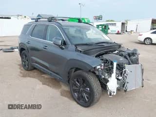 2025 Hyundai Palisade XRT with VIN KM8R34GE6SU892057, listed as a IAAI auction lot 43053676 with 5,498 mi miles and . Bid and sale history available at DreamBid. Image 1.