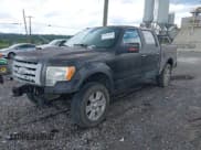 ✅ 2009 Ford F-150 XL • VIN: 1FTPW14V49KC59679 • Lot: 42524021. Listed on IAAI with 166,680 mi. Free auction sales archive from the USA and detailed vehicle history report at DreamBid. Image 17.