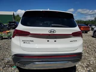✅ 2023 Hyundai Santa Fe SEL Premium • VIN: 5NMS3DA12PH018668 • Lot: 57815434. Wystawiony na Copart z przebiegiem 14 698 mil. Bezpłatny archiwum sprzedaży aukcyjnych z USA i szczegółowy raport historii pojazdu na DreamBid. Zdjęcie 6.