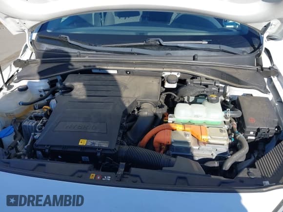 ✅ 2019 Hyundai Ioniq Blue • VIN: KMHC65LC2KU119660 • Lot: 41710680. Wystawiony na IAAI z przebiegiem 123 480 mil. Bezpłatny archiwum sprzedaży aukcyjnych z USA i szczegółowy raport historii pojazdu na DreamBid. Zdjęcie 10.