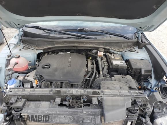 ✅ 2024 Hyundai Santa Cruz SEL • VIN: 5NTJBDAE1RH097436 • Лот: 84412005. Опубликован ранее на Copart с пробегом 28 264 миль. Бесплатный доступ к архиву аукционных продаж из США и подробный отчёт об истории автомобиля на DreamBid. Изображение 11.