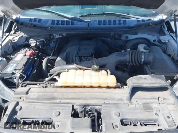 ✅ 2016 Ford F-150 XL • VIN: 1FTEX1CP4GFC85325 • Лот: 41949318. Опубликован ранее на IAAI с пробегом 252 263 миль. Бесплатный доступ к архиву аукционных продаж из США и подробный отчёт об истории автомобиля на DreamBid. Изображение 10.