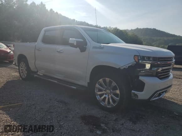 ✅ 2022 Chevrolet Silverado 1500 High Country • VIN: 1GCUYHEL1NZ167708 • Lot: 65711145. Listed on Copart with 169,100 mi. Free auction sales archive from the USA and detailed vehicle history report at DreamBid. Image 4.